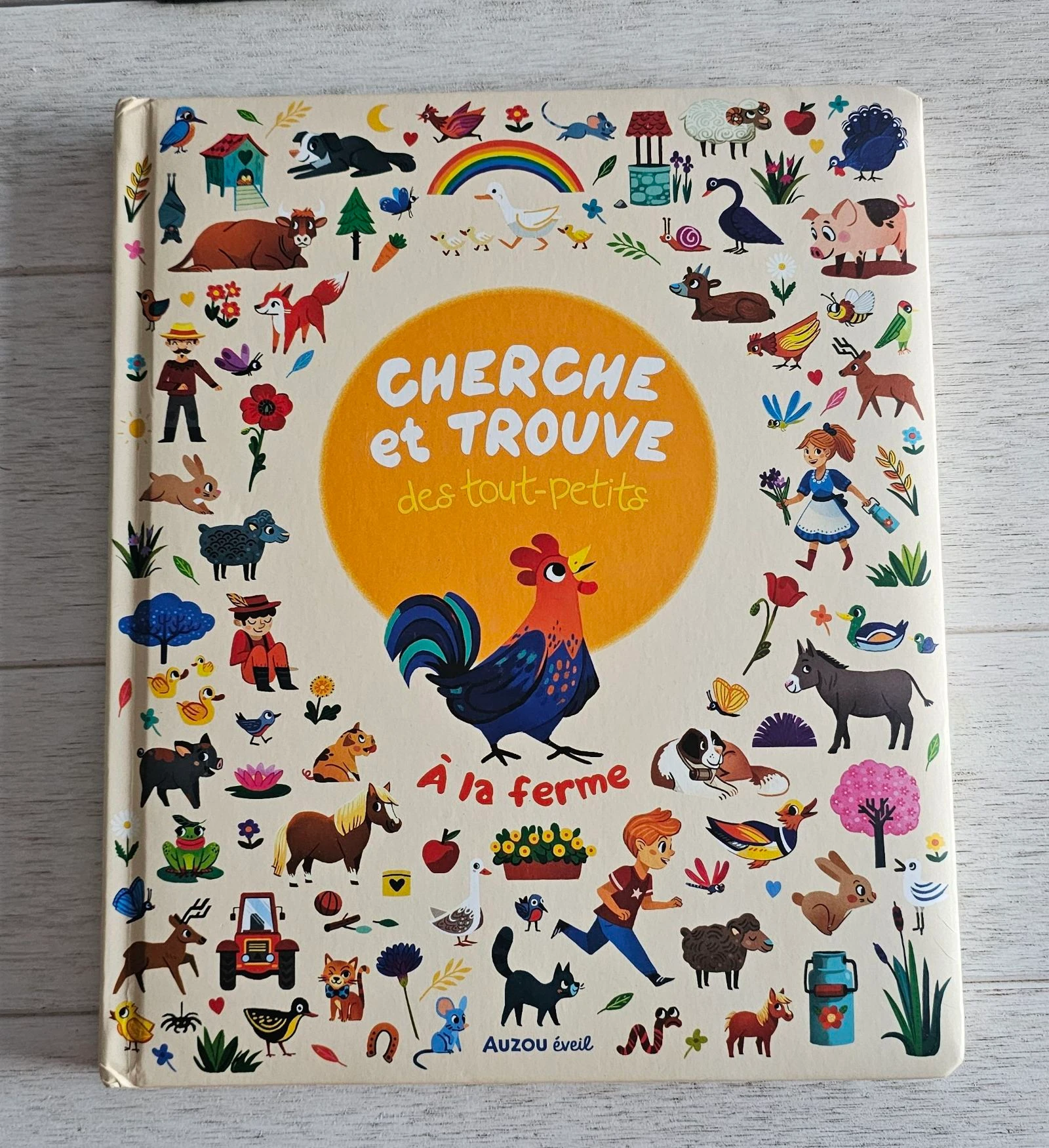 Livre 📙 cherche & trouve 